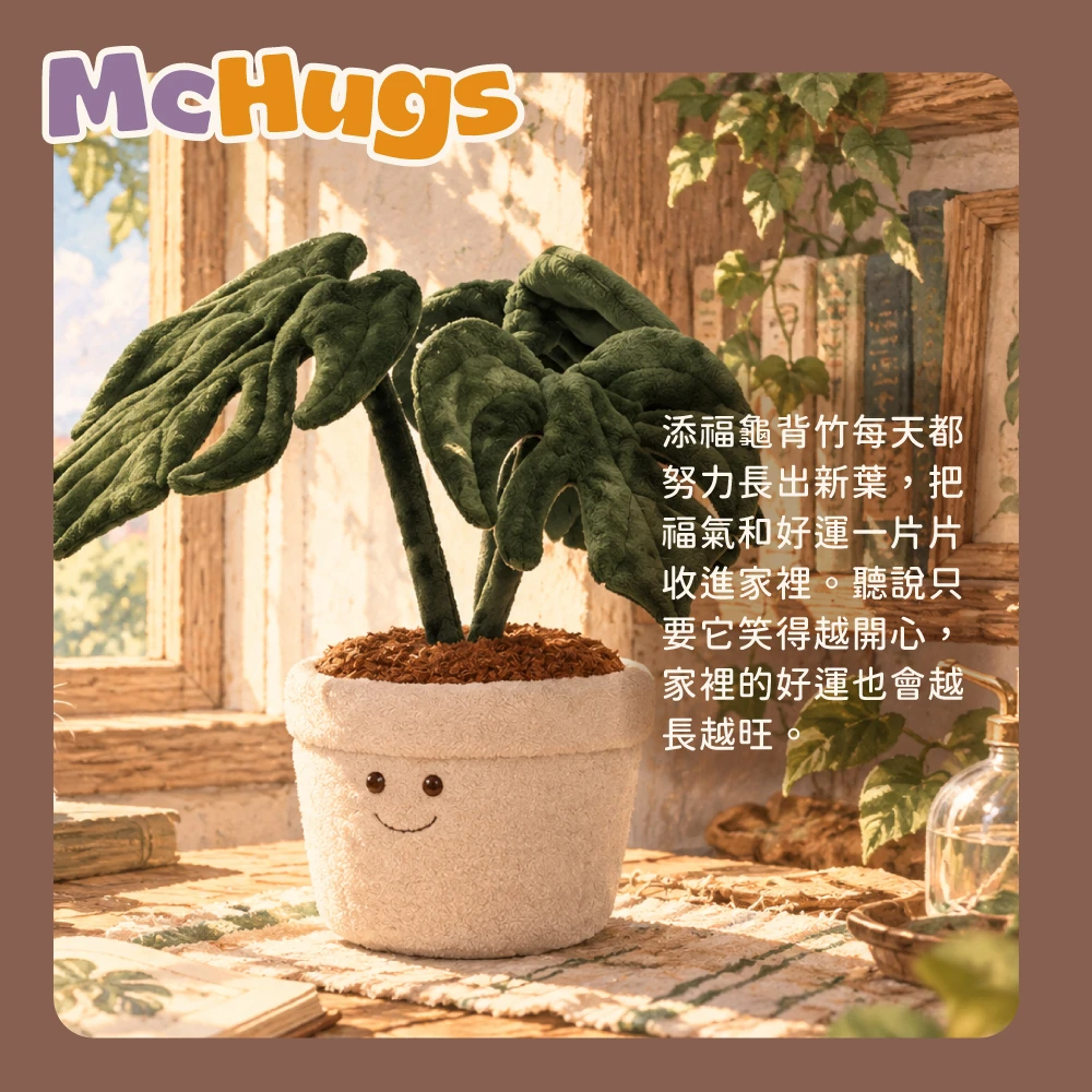 添福龜背竹盆栽