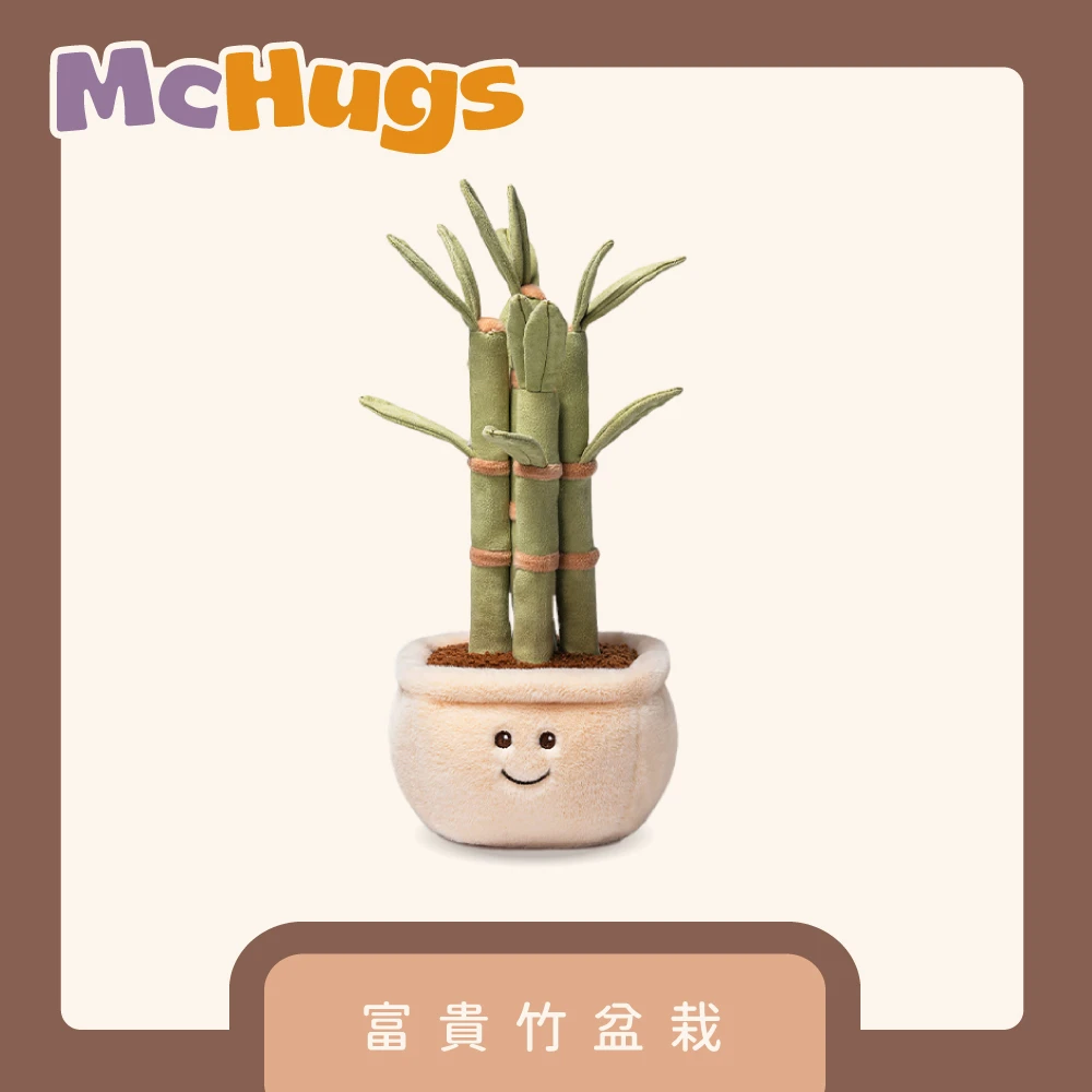 富貴竹盆栽