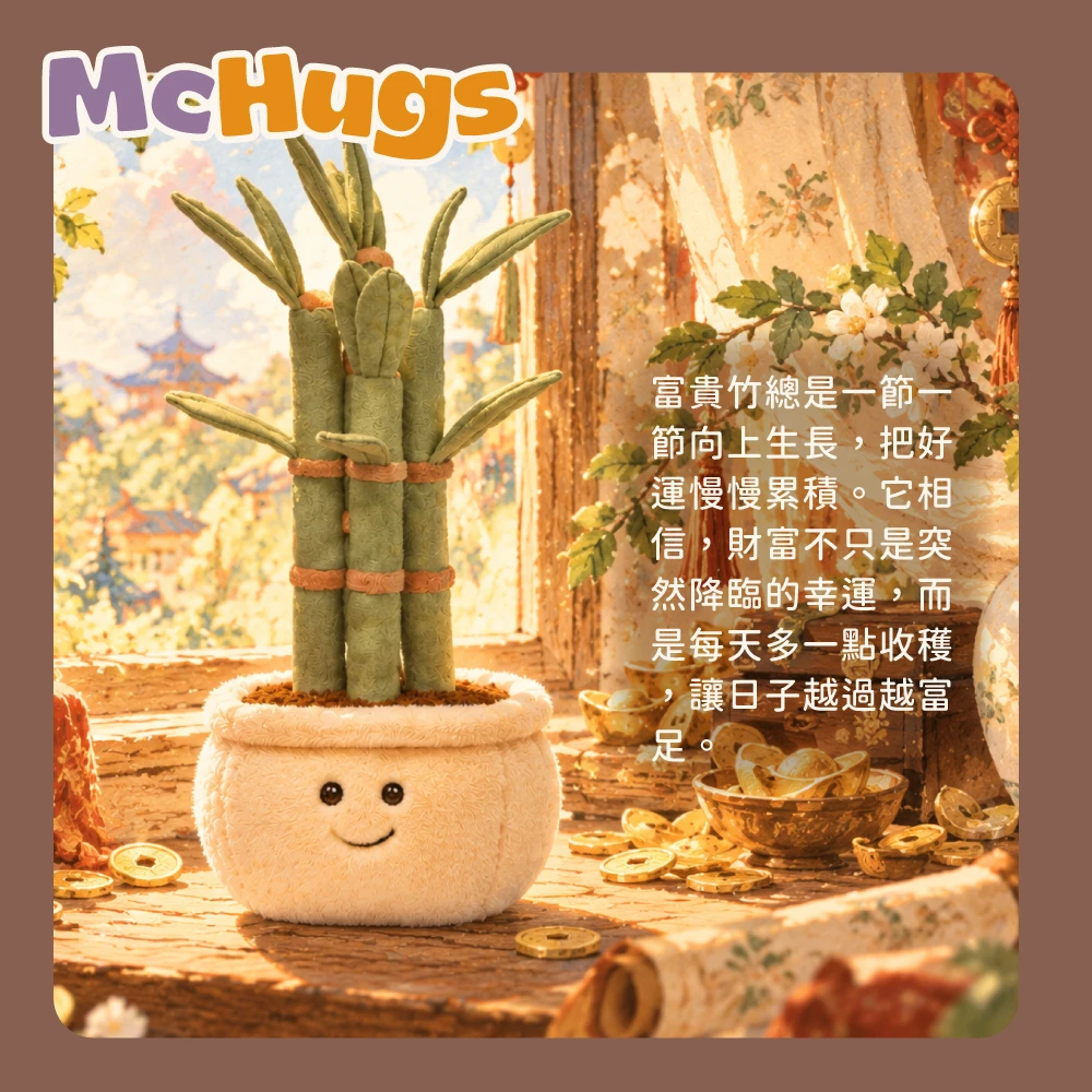 富貴竹盆栽