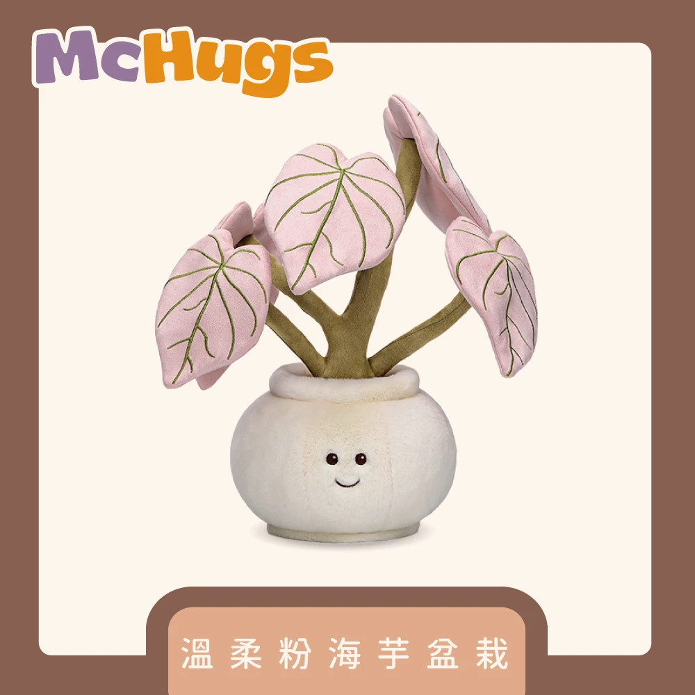溫柔粉海芋盆栽