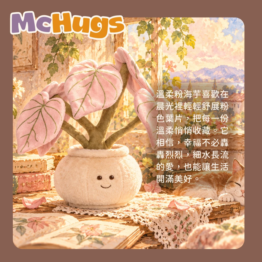 溫柔粉海芋盆栽