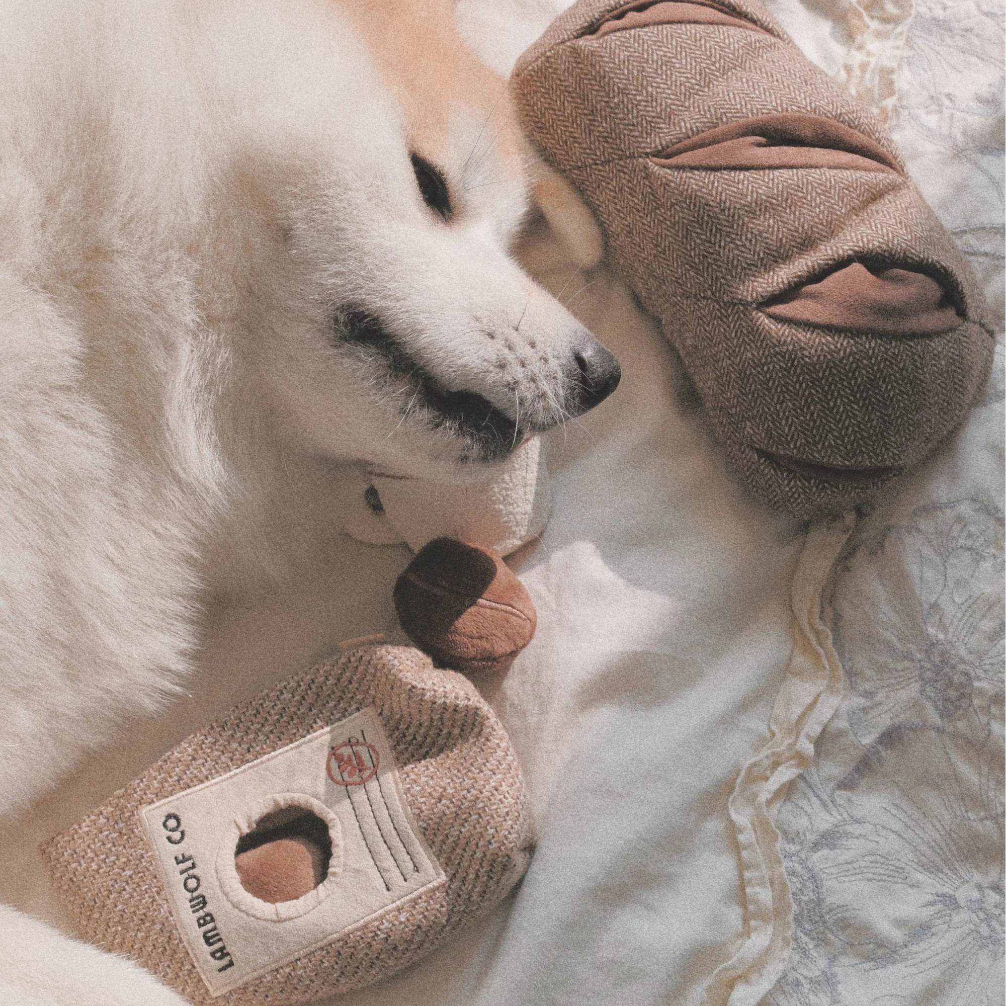 Lambwolf Collective | 咖啡豆
