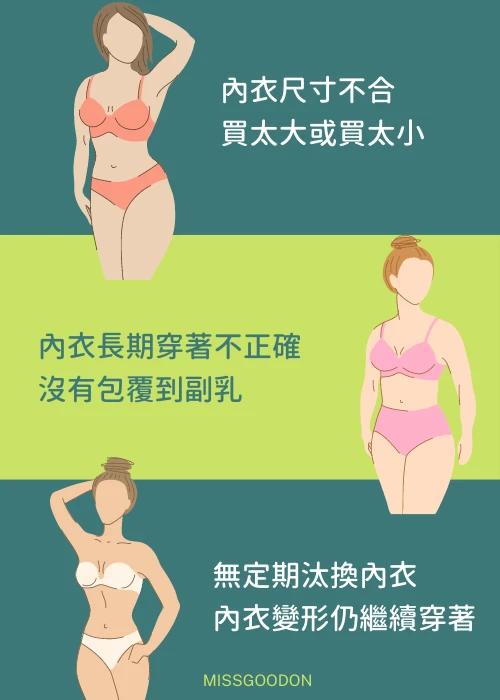 真副乳與假副乳說明