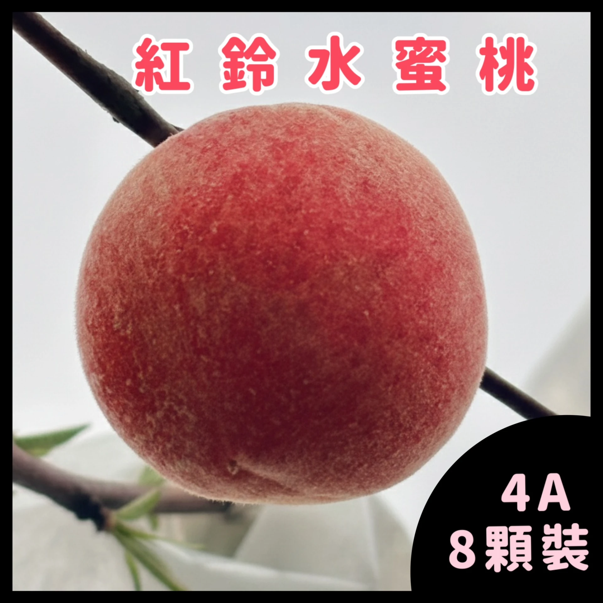 紅鈴水蜜桃 4A八顆裝