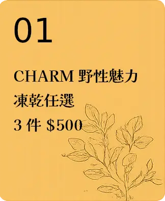 CHARM野性魅力-凍乾-任選3件組合包