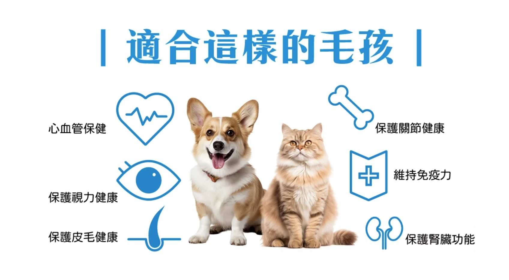 可蒂毛毛 24小時Omega-3 犬貓通用魚油 0.7G/30入