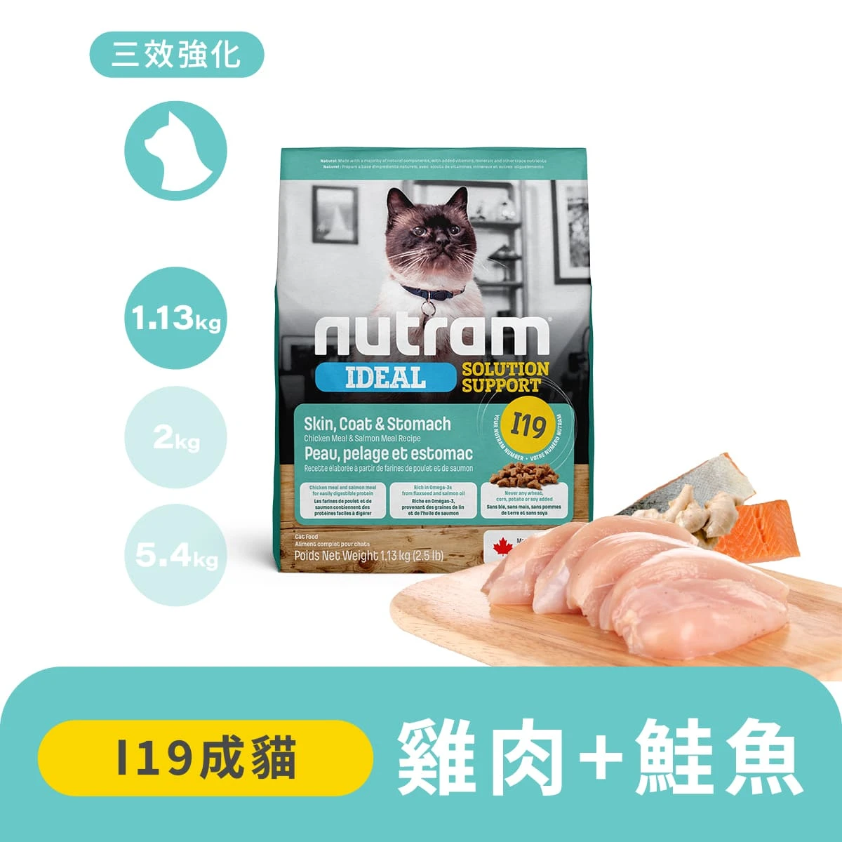 【紐頓】I19三效強化成貓糧｜雞肉+鮭魚