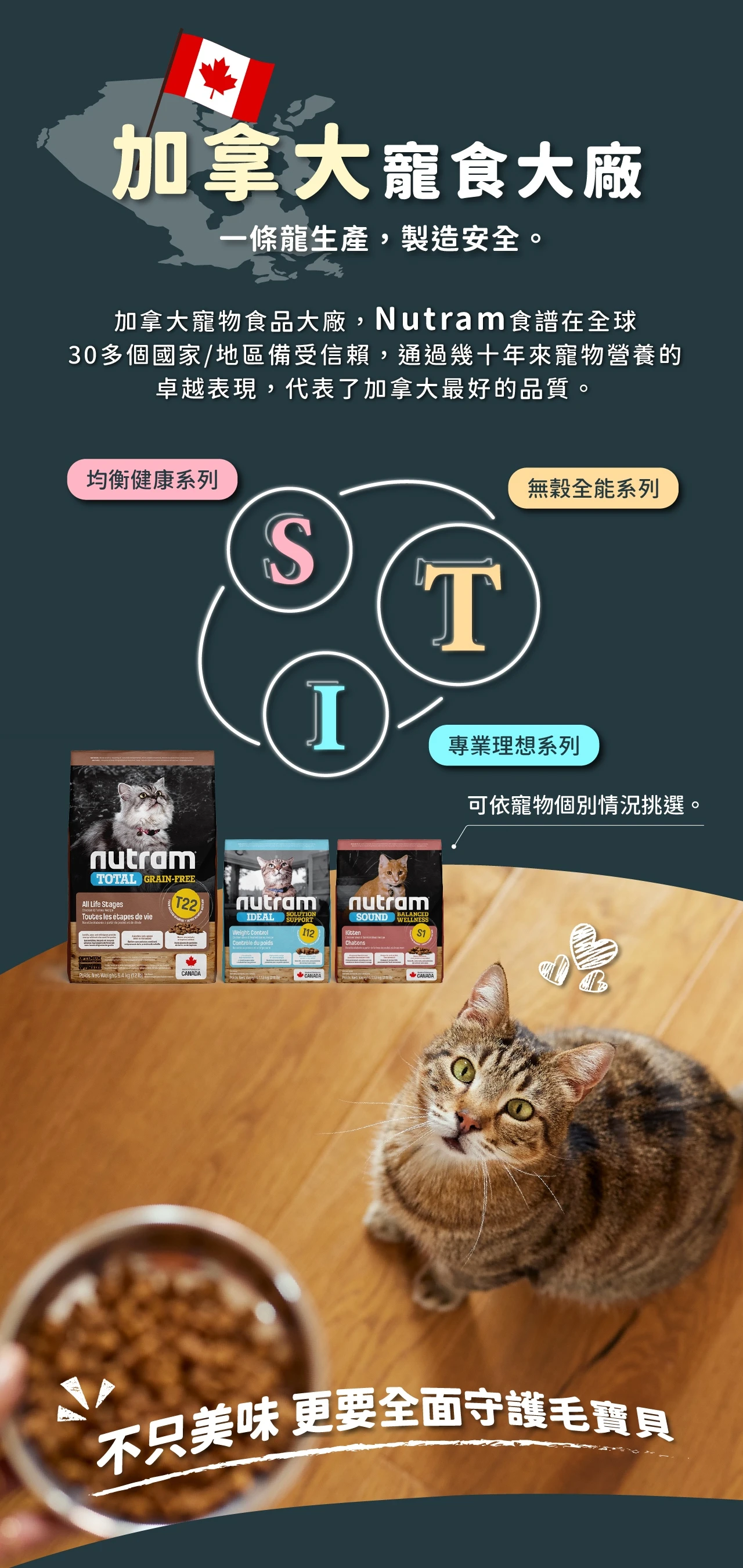 【紐頓】I19三效強化成貓糧|雞肉+鮭魚