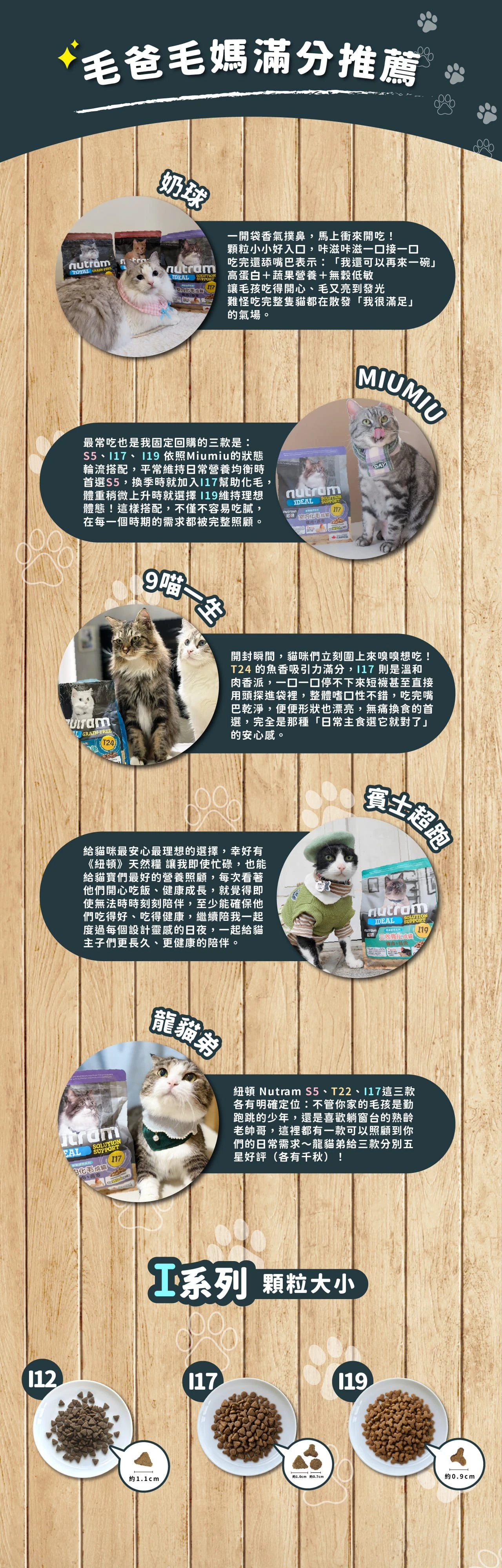 【紐頓】I19三效強化成貓糧|雞肉+鮭魚
