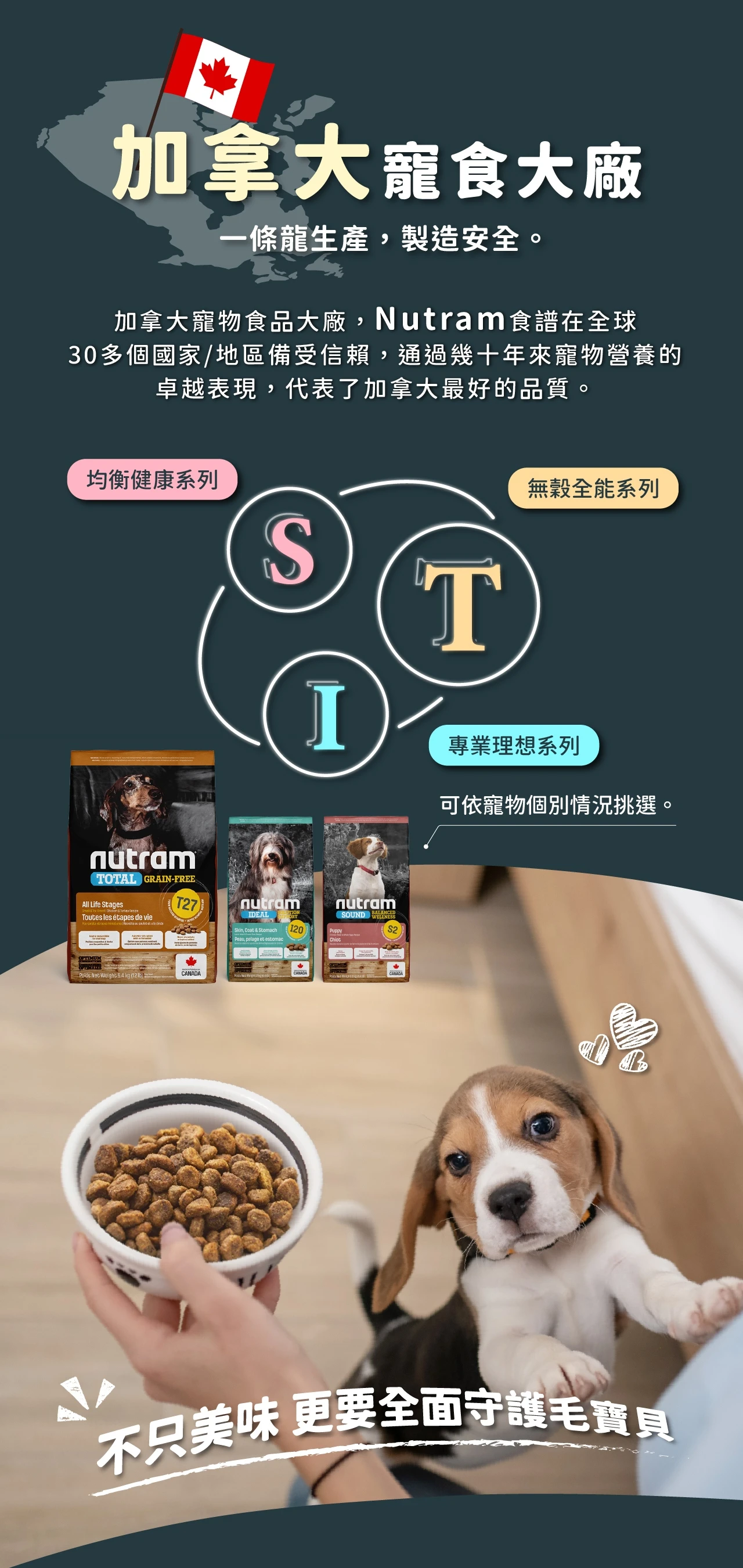 【紐頓】T27無穀挑嘴全齡犬糧｜火雞+雞肉小顆粒