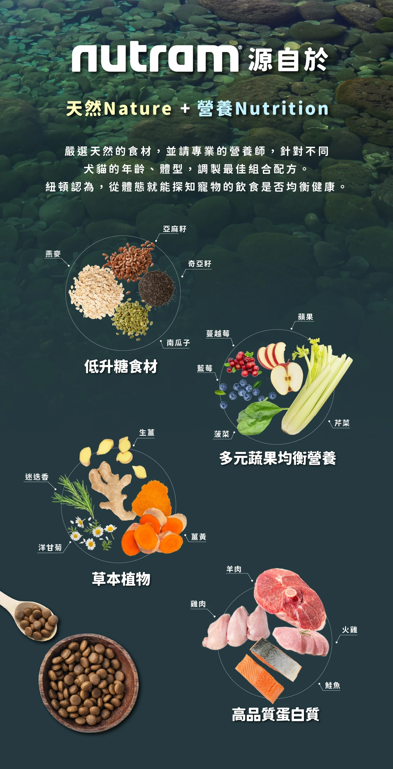 【紐頓】S9均衡健康成犬糧|羊肉+南瓜