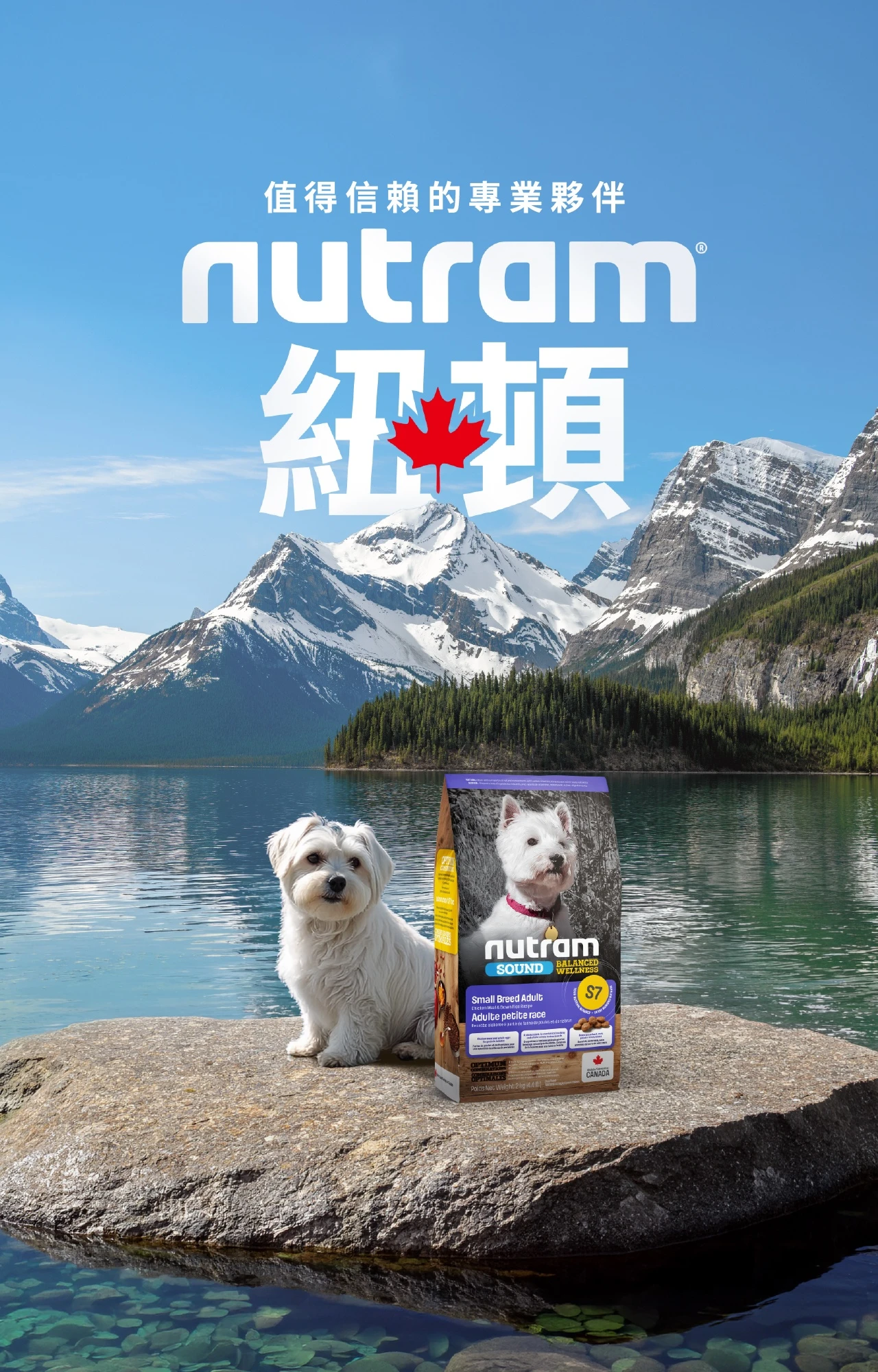 【紐頓】S7均衡健康小型犬糧|雞肉+胡蘿蔔