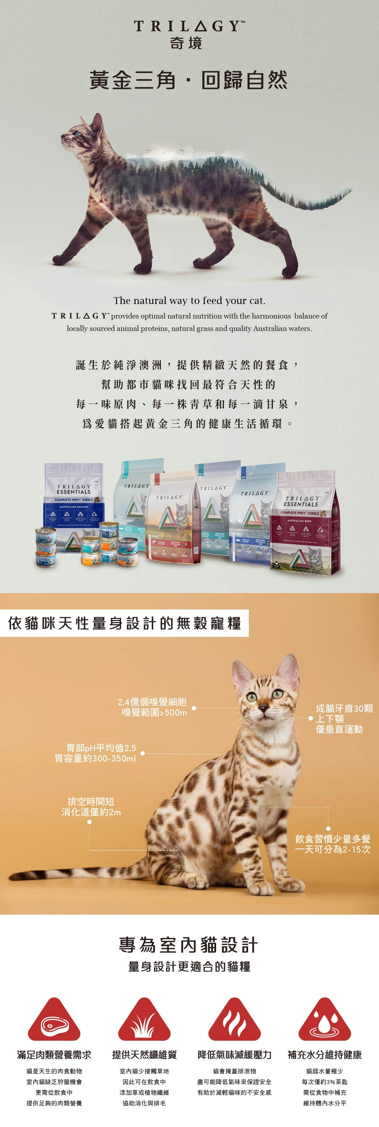 【奇境】無穀成貓糧｜澳洲牛肉