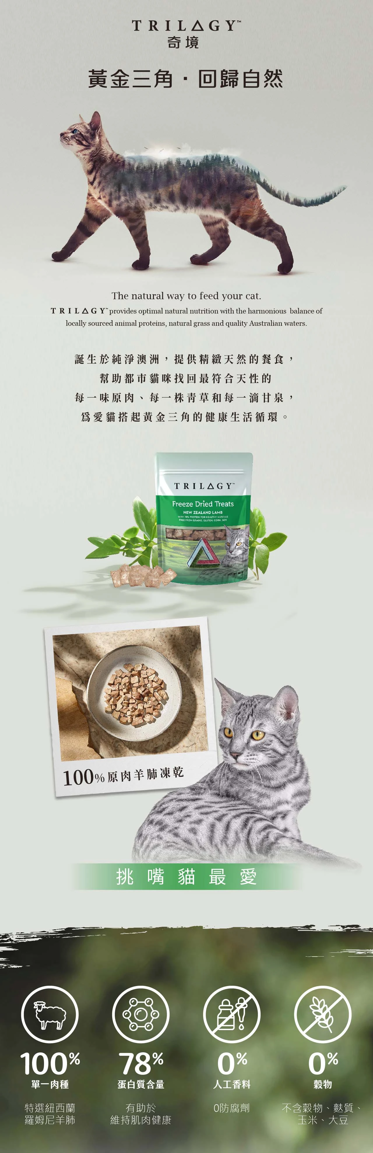 【奇境】羅姆尼羊肺原肉凍乾