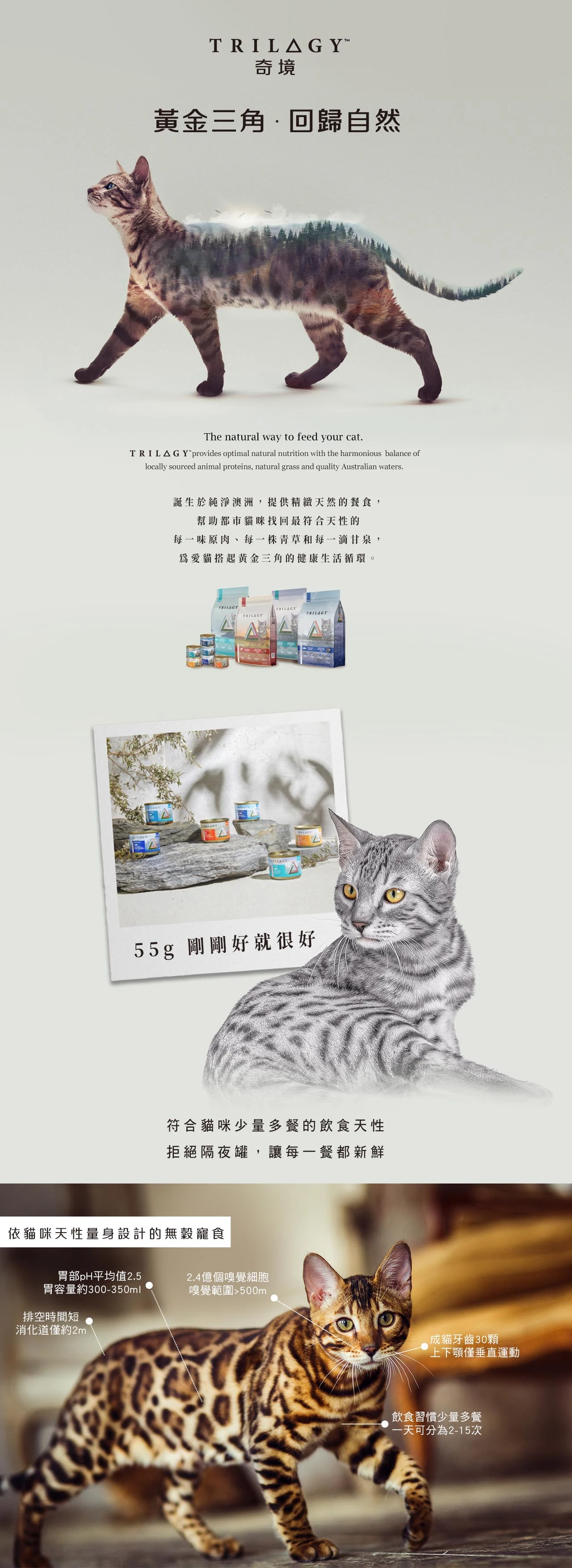 【奇境】無穀成貓燉雞湯罐