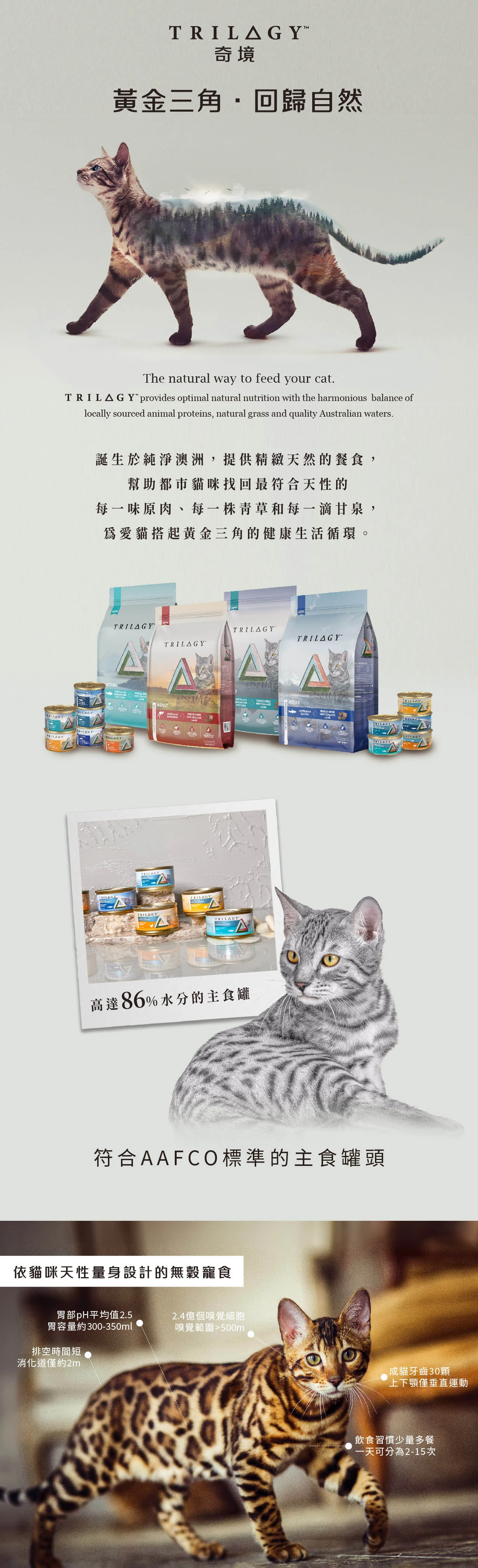 【奇境】無穀成貓慕斯主食罐