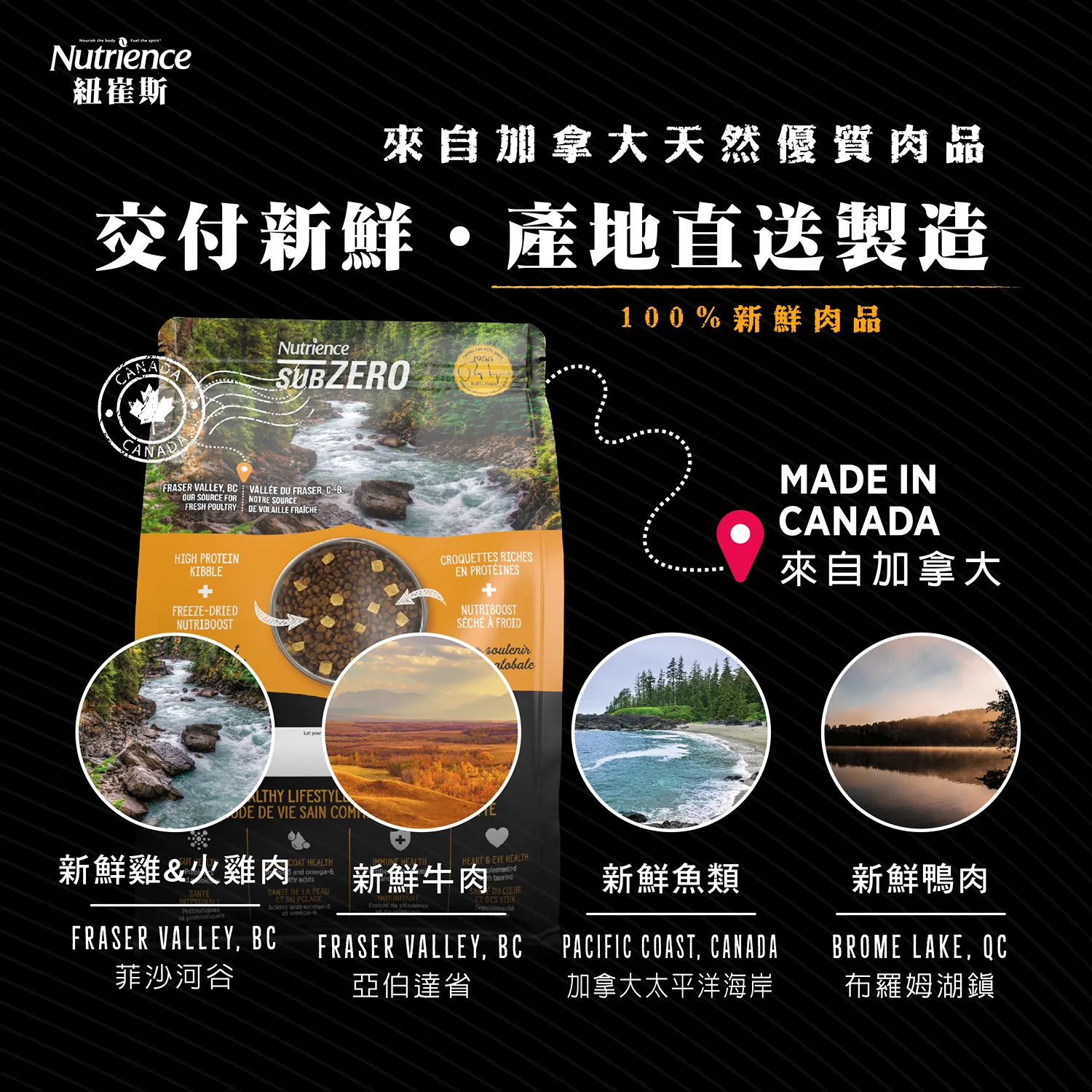 【紐崔斯】頂級黑鑽凍乾 無穀貓糧+凍乾