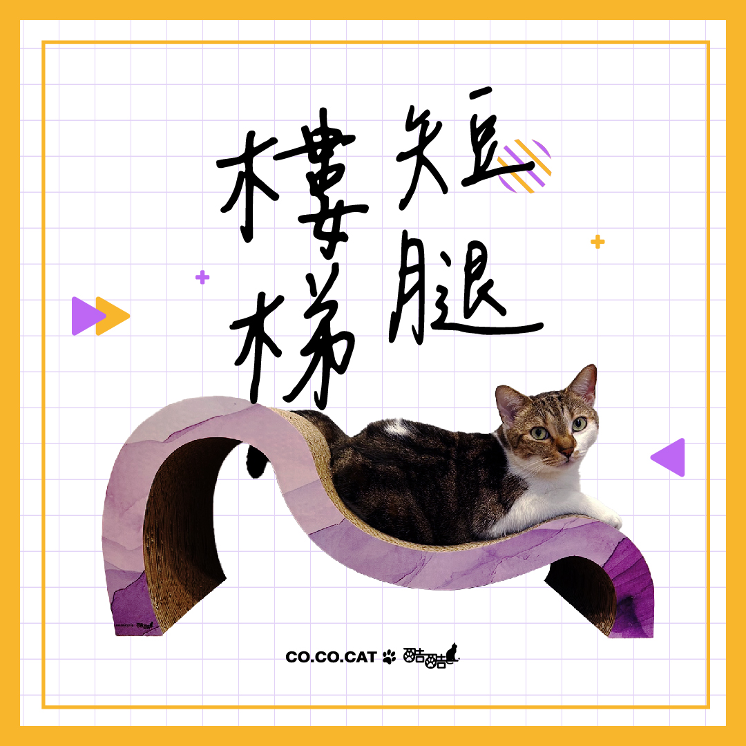 【酷酷貓貓】短腿樓梯 貓抓板