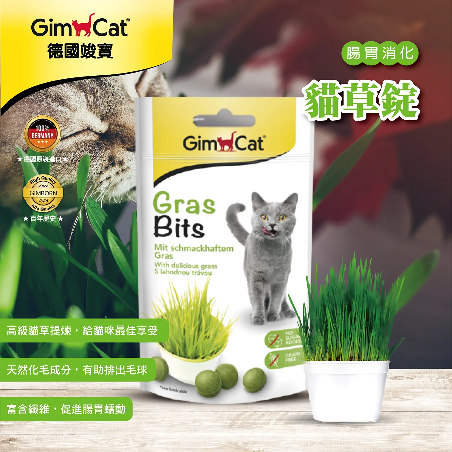 【德國竣寶】貓草錠