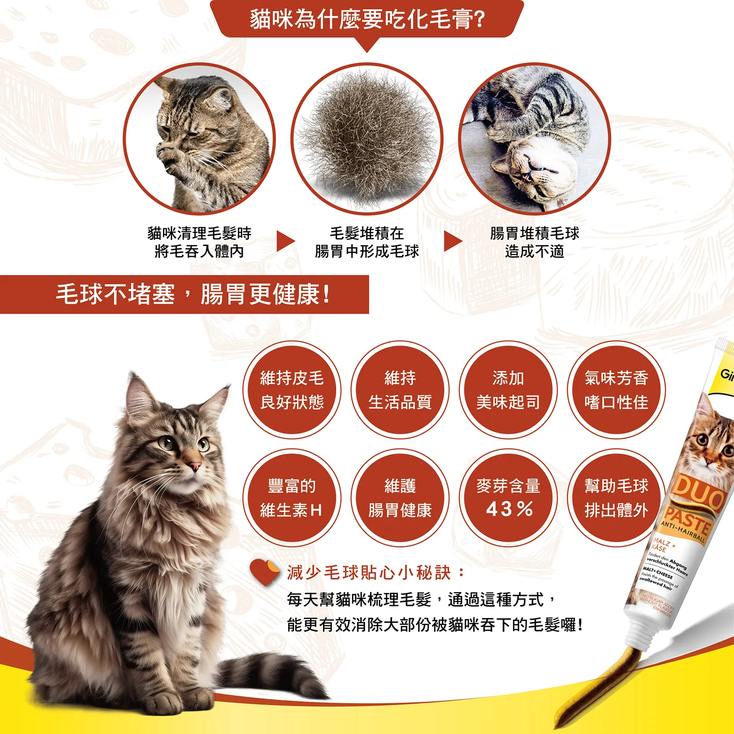 【德國竣寶】雙效化毛膏