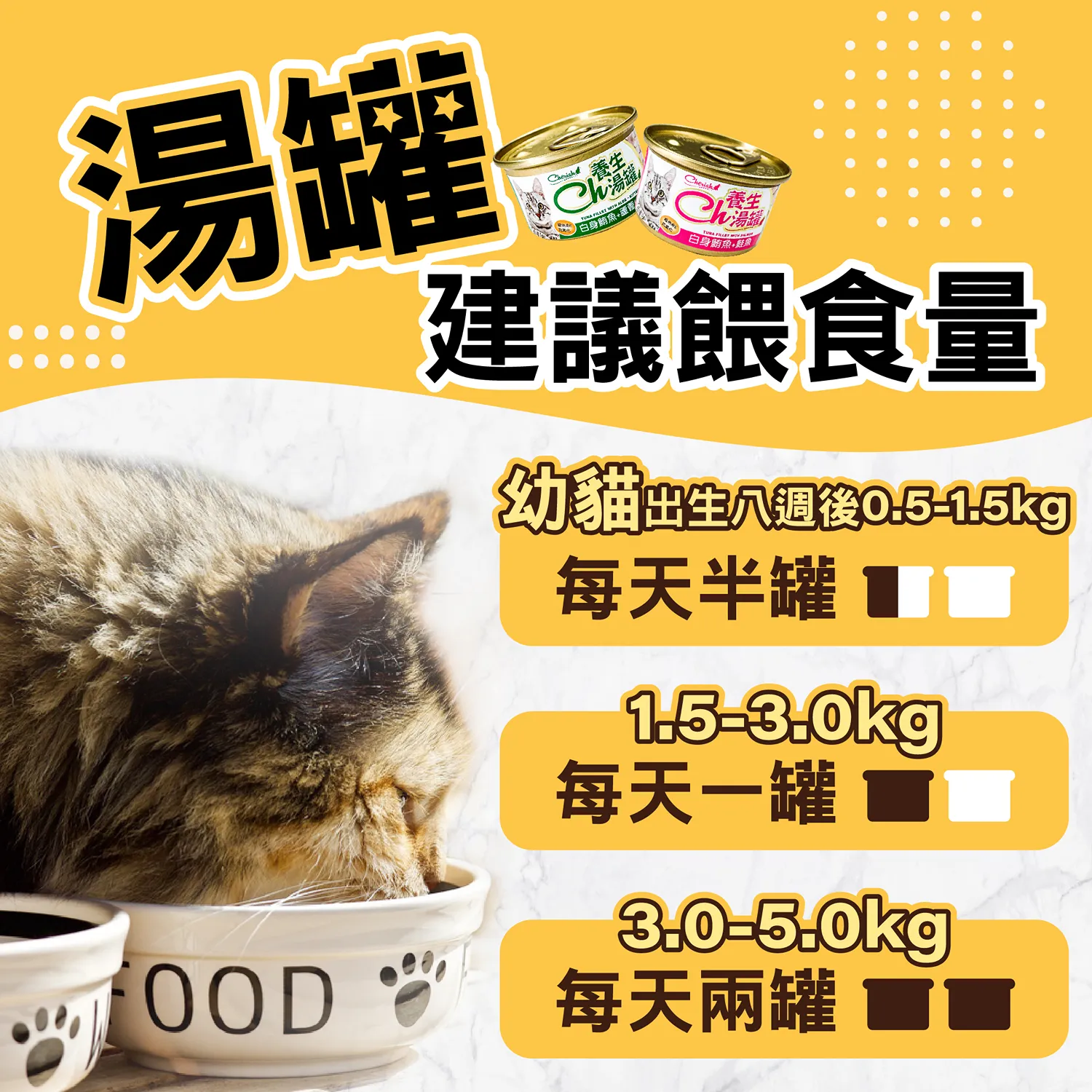 CH 養生湯罐
