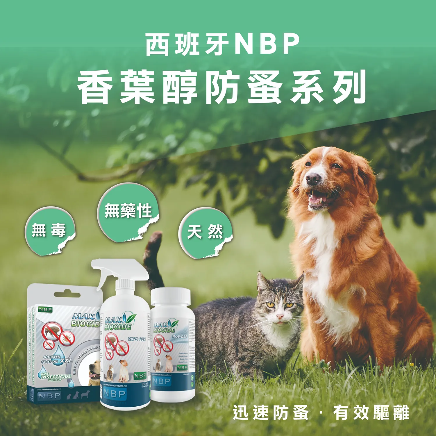 【西班牙NBP】防蚤頸圈