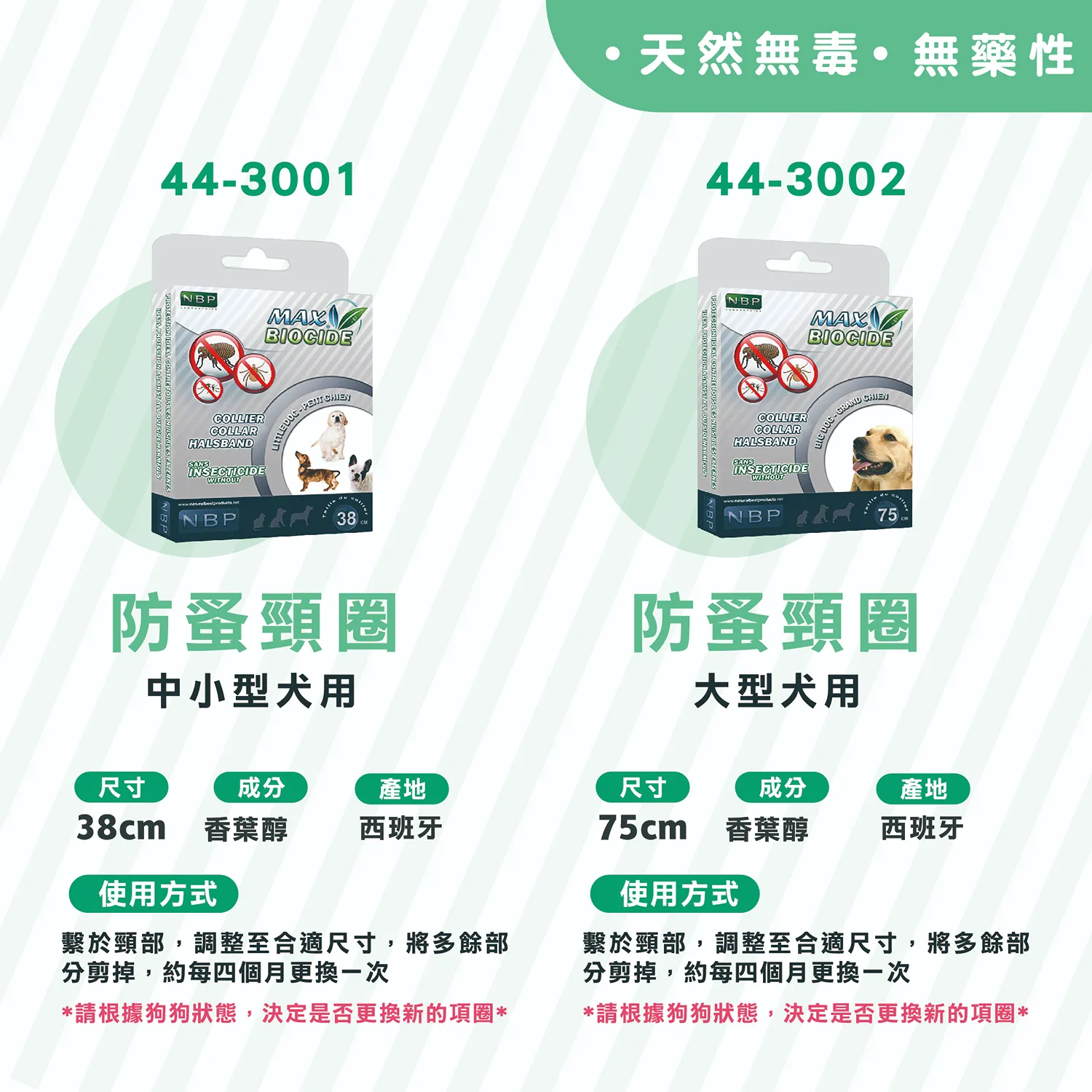 【西班牙NBP】防蚤頸圈