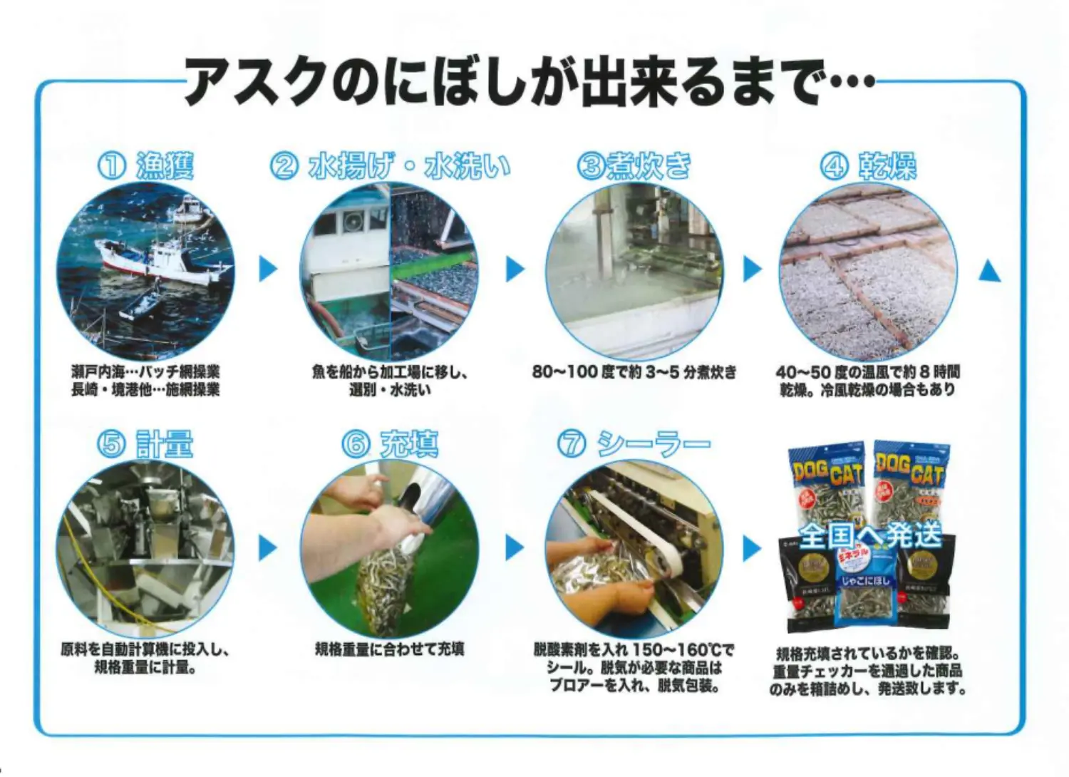 【日本藍】小魚乾