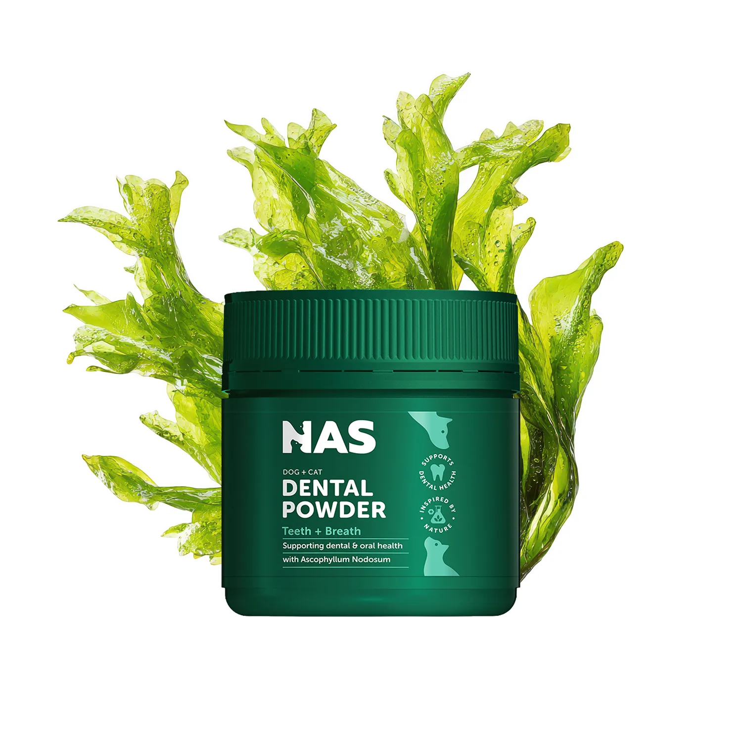 【NAS天然草本】Dental Powder 褐藻潔牙護齒粉