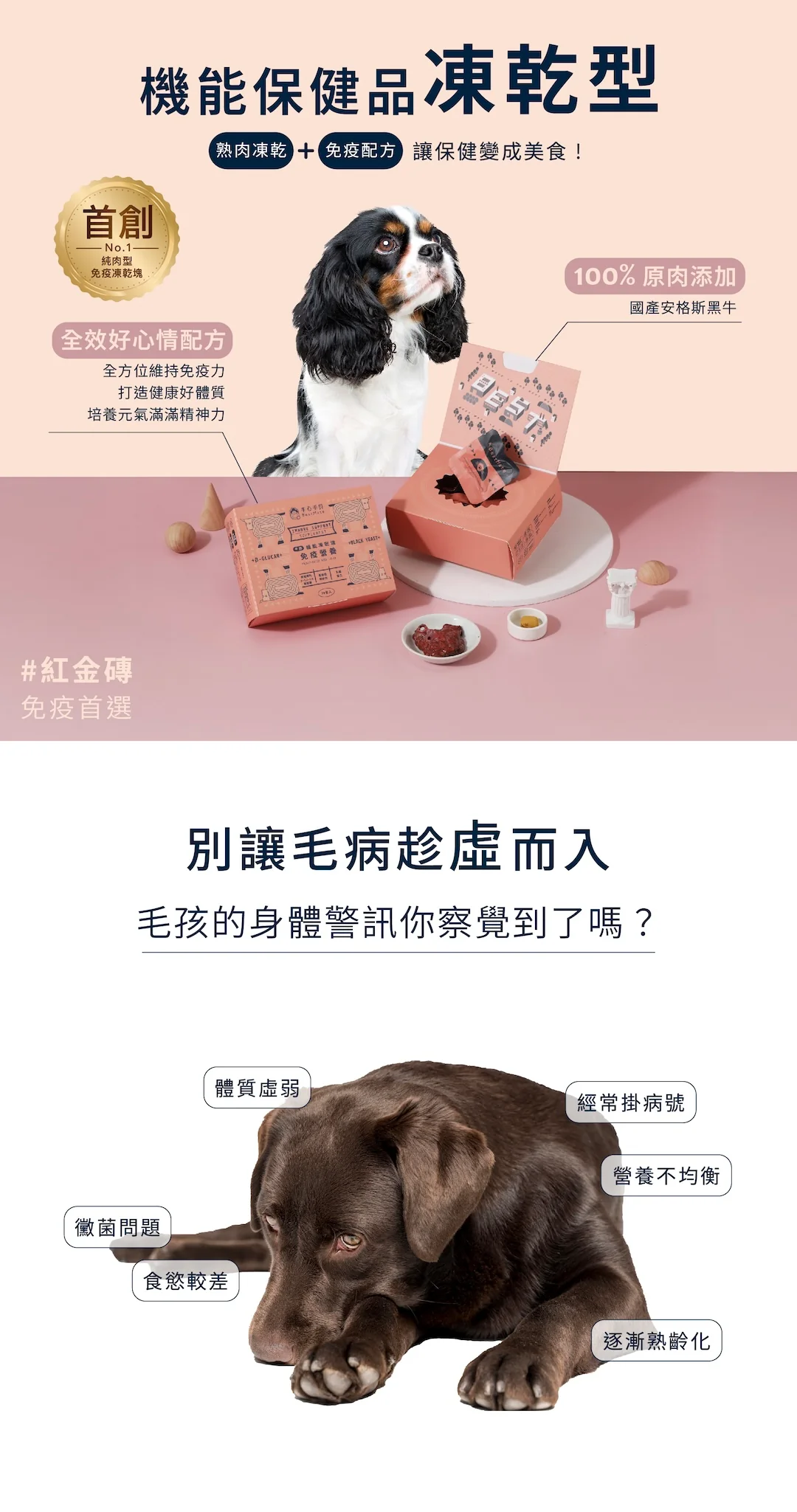 免疫營養 機能熟肉凍乾塊｜國產安格斯黑牛❰ 狗dog ❱