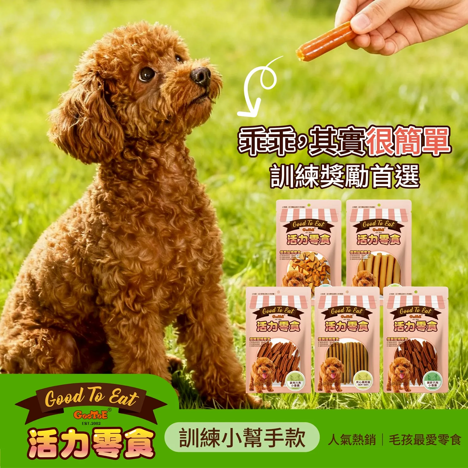 活力 訓練小幫手款
