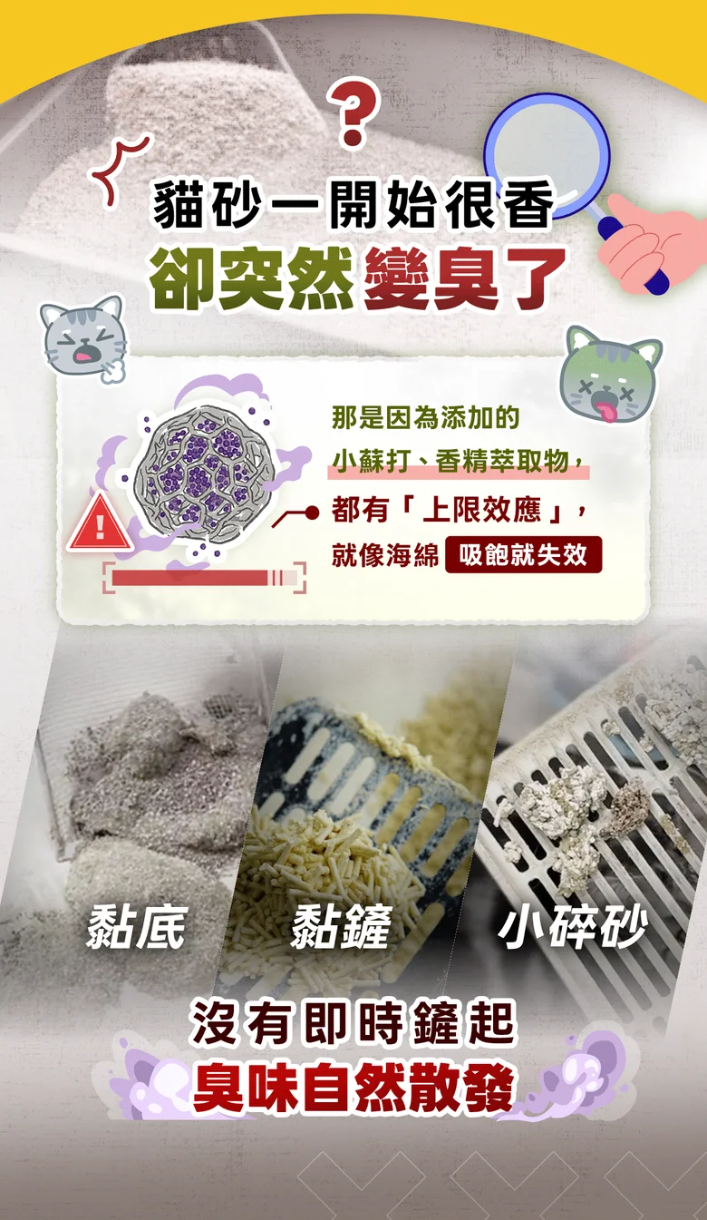 薯魔力-木薯砂