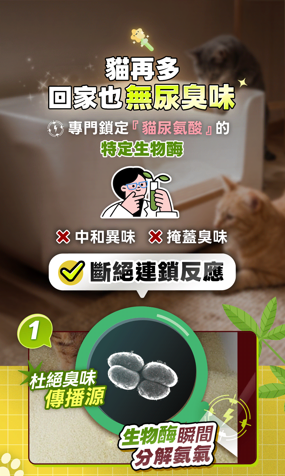 薯魔力-木薯砂