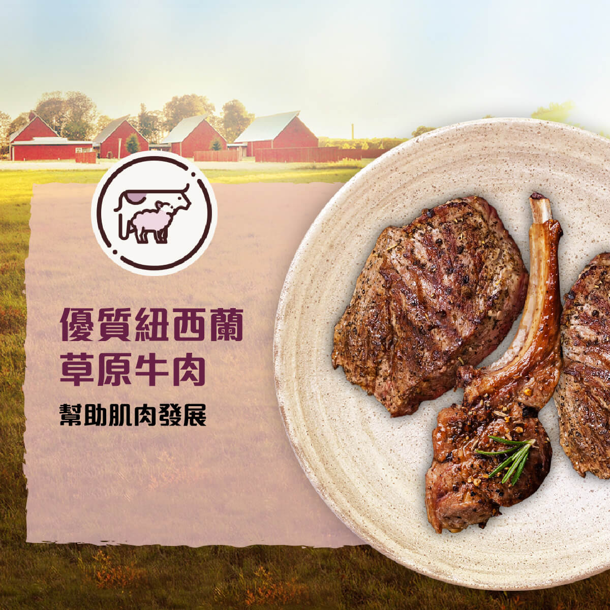 【香草廚坊】草原牛無穀犬香草糧