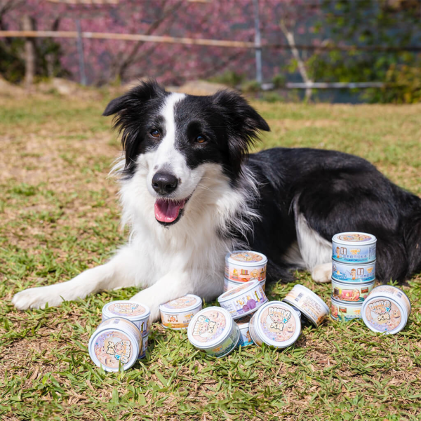 【等肉 DANLO】鮮肉無榖犬罐