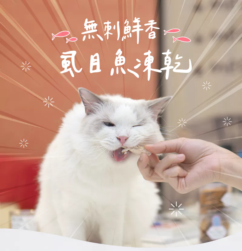 【卡尼】無刺鮮香虱目魚凍乾