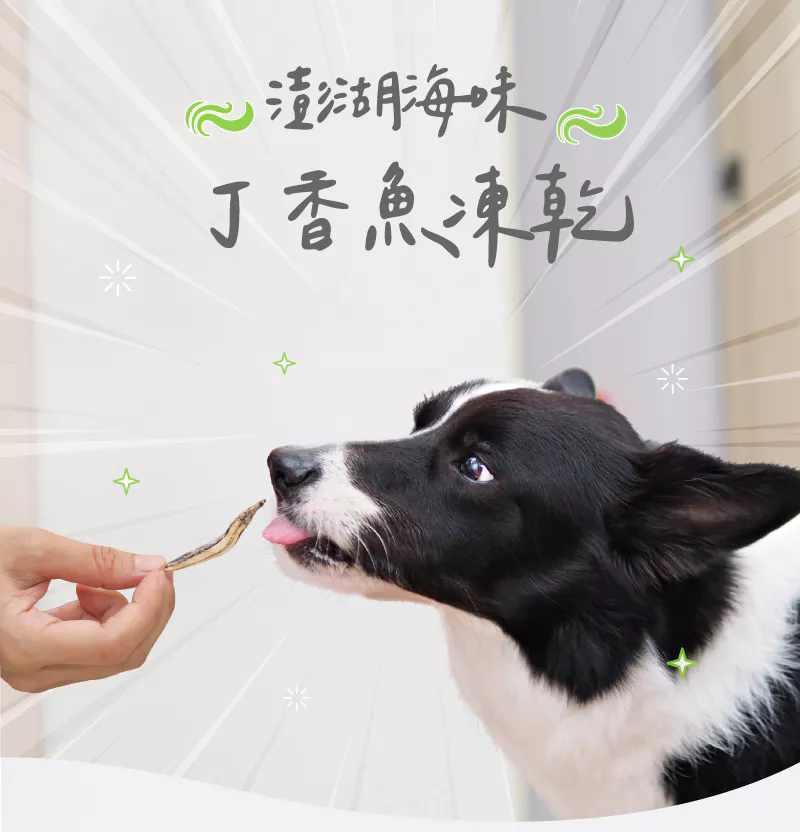 【卡尼】澎湖海味丁香魚凍乾