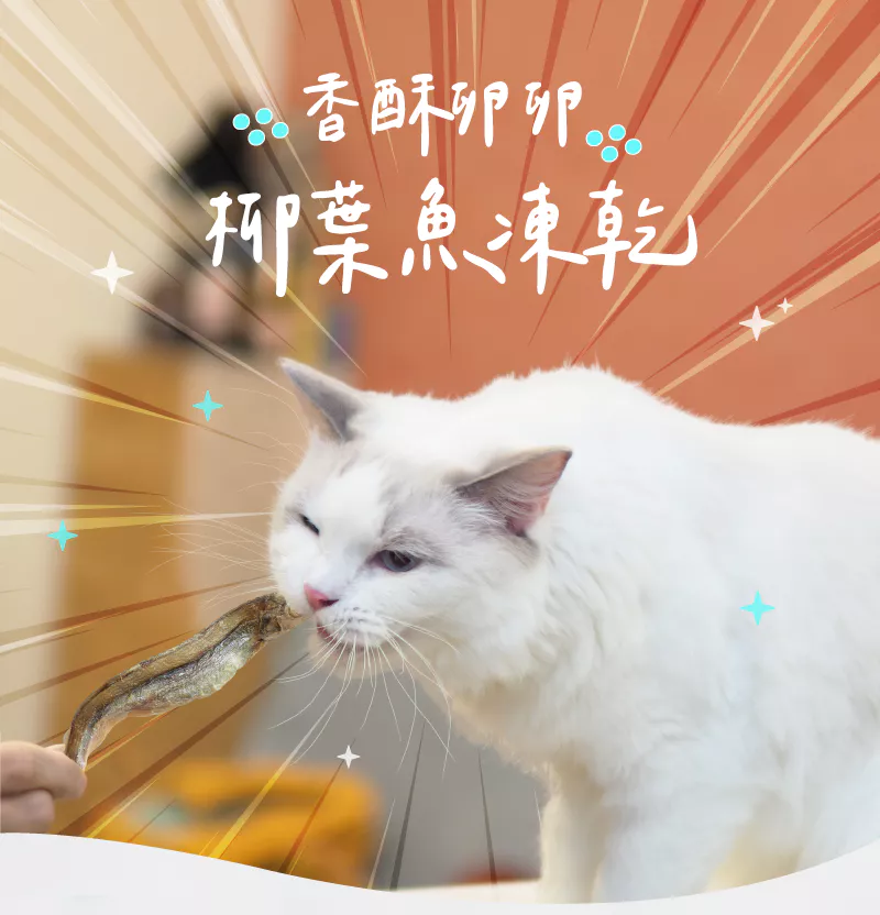 【卡尼】香酥卵卵柳葉魚凍乾