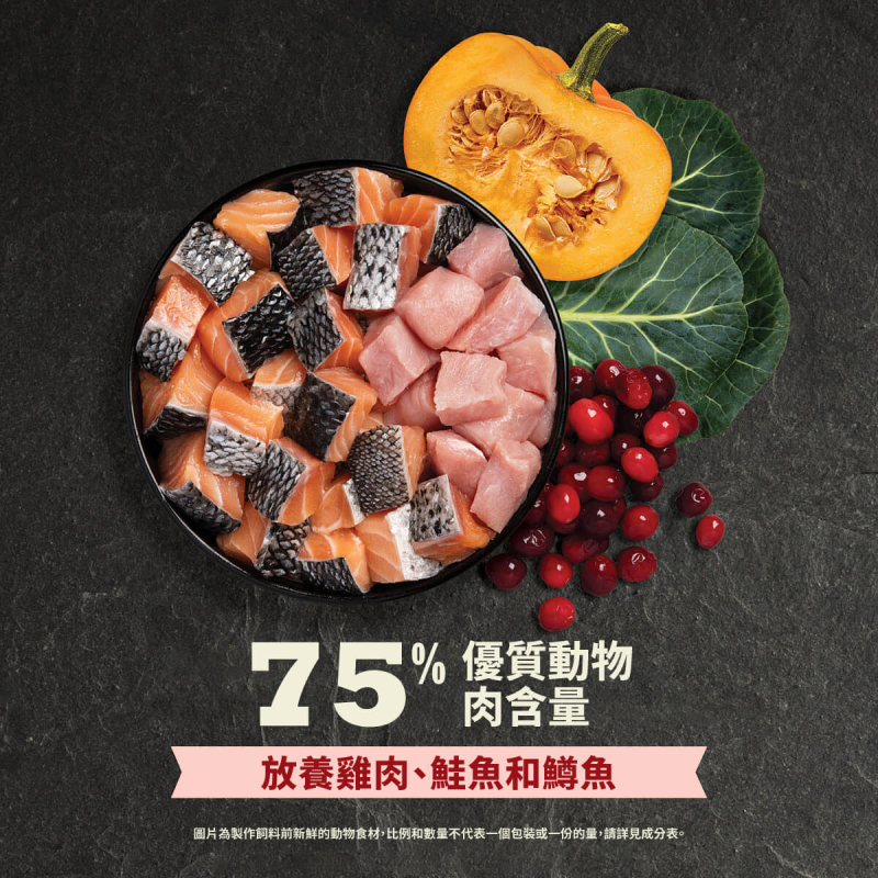 【Acana 愛肯拿】無穀高蛋白室內貓飼料