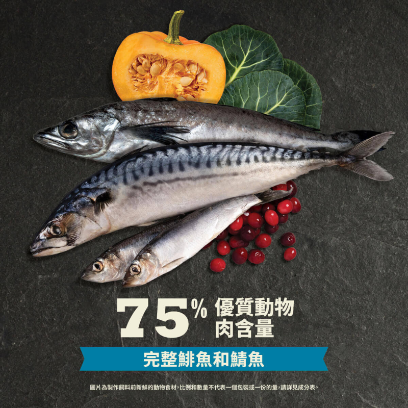 【Acana 愛肯拿】海洋盛宴無穀配方貓飼料