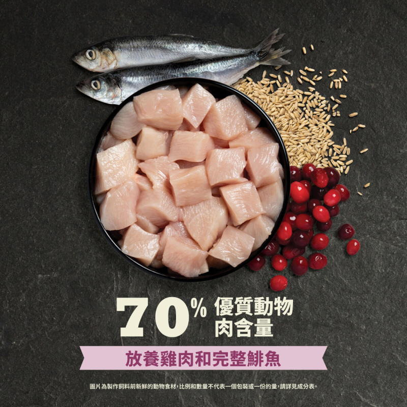 【Acana 愛肯拿】第一盛宴低GI配方幼貓飼料