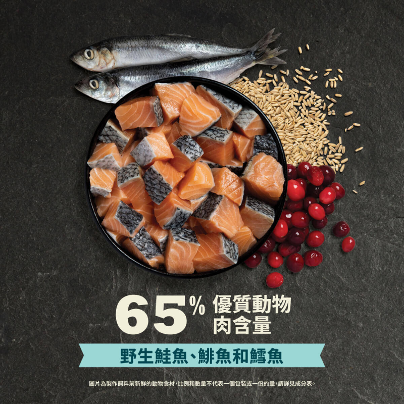 【Acana 愛肯拿】豐盛漁獲低GI配方貓飼料