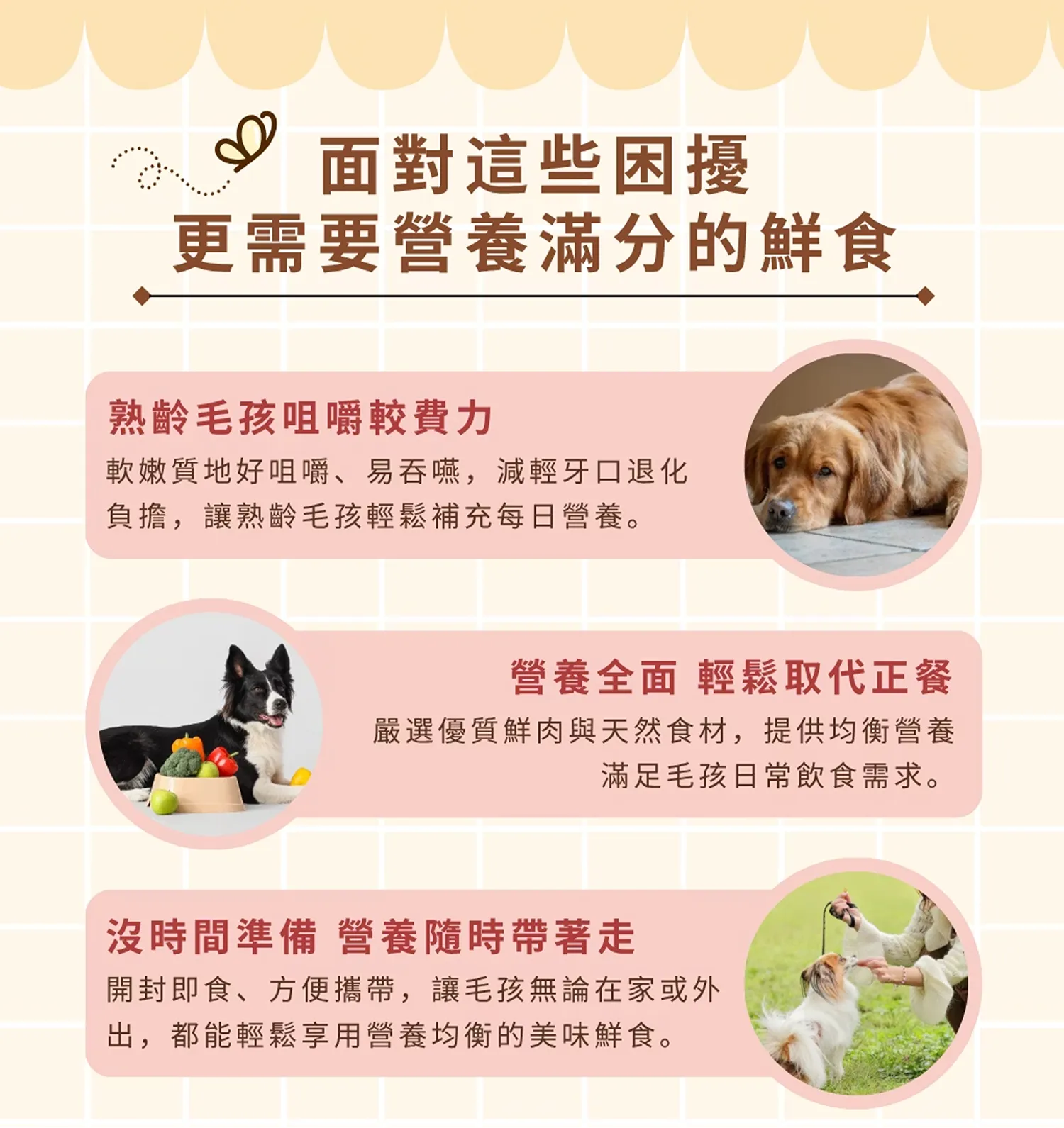 【寵心出發】機能鮮食主食餐包 <犬>