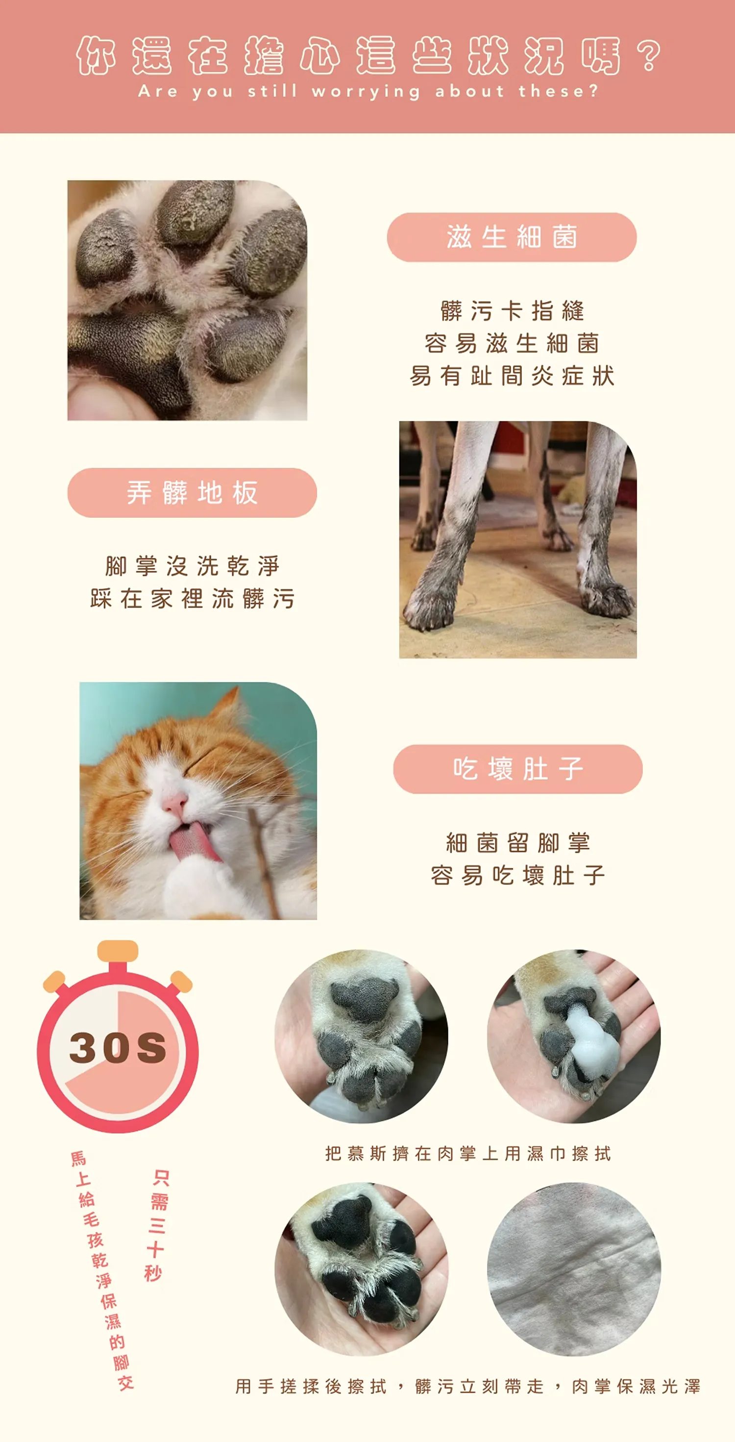【寵心出發】肉球乾洗慕斯 | 天然草本