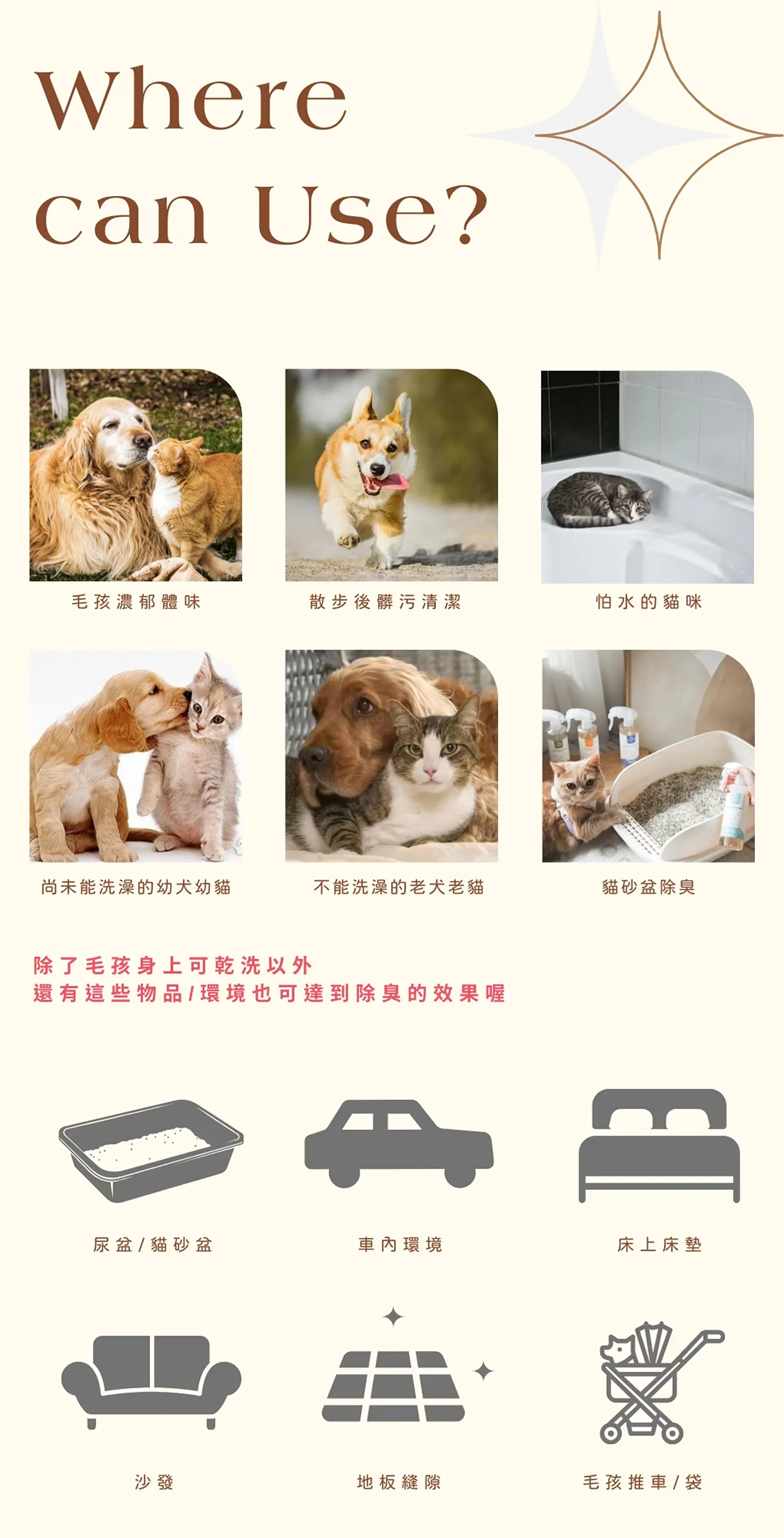 【寵心出發】天然速淨乾洗噴霧 | 天然草本