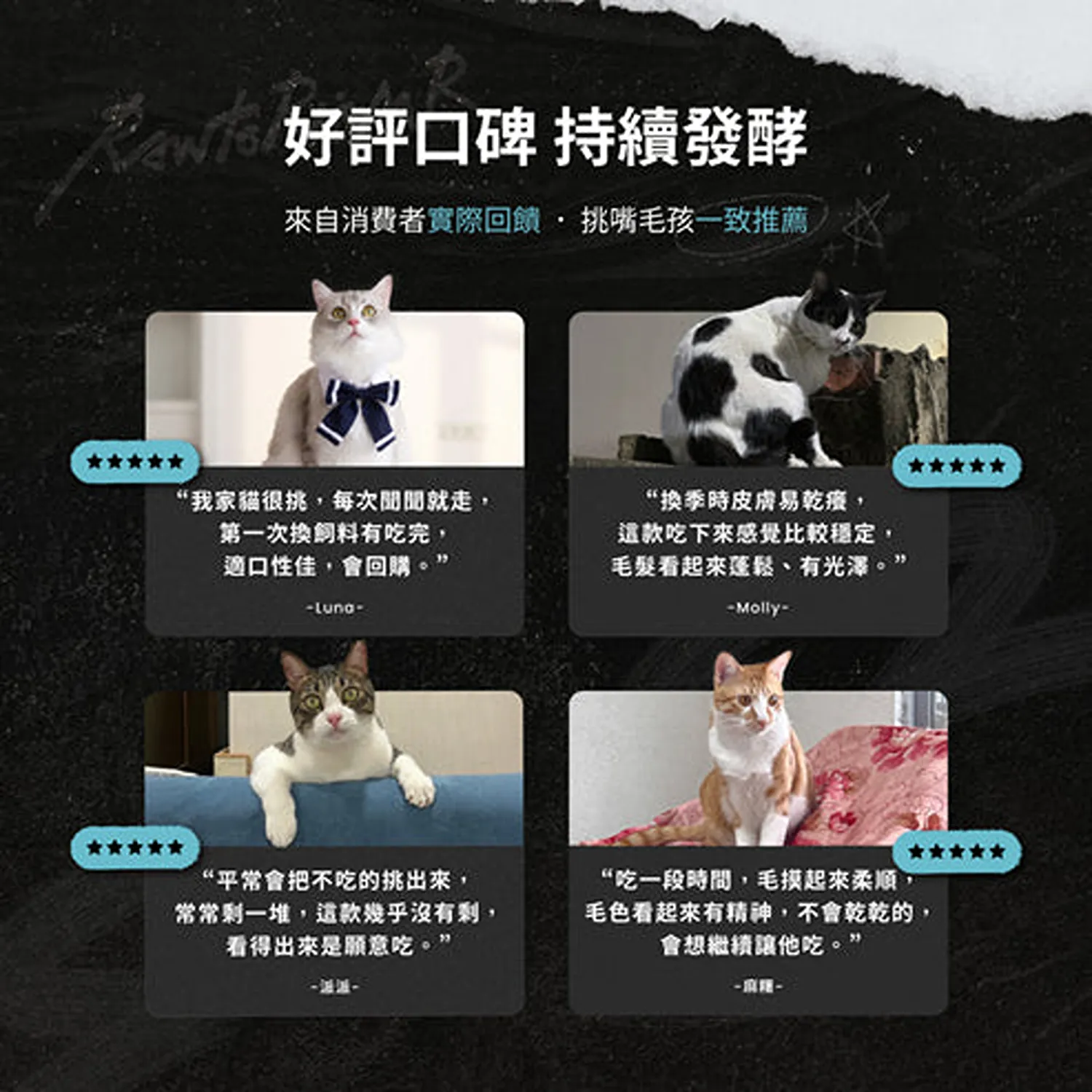 【源境】全齡貓 無穀亮毛美膚糧