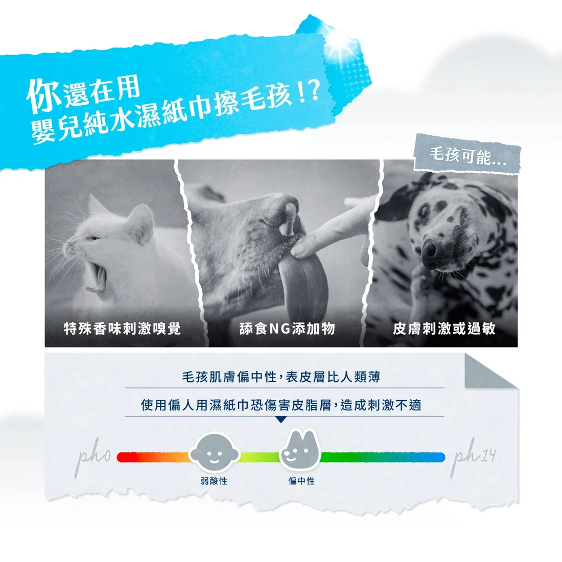 【毛孩站起來】寵物除臭抑菌濕紙巾