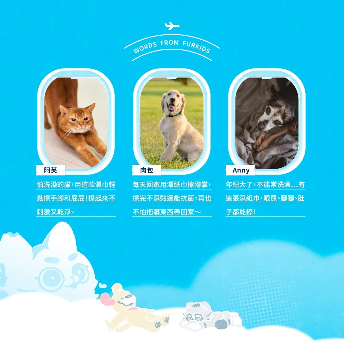 【毛孩站起來】寵物除臭抑菌濕紙巾