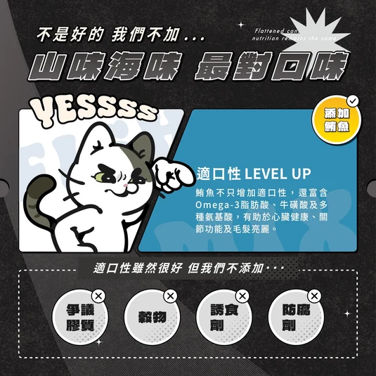 【毛孩站起來】軟罐頭 全齡貓主食餐包 100g