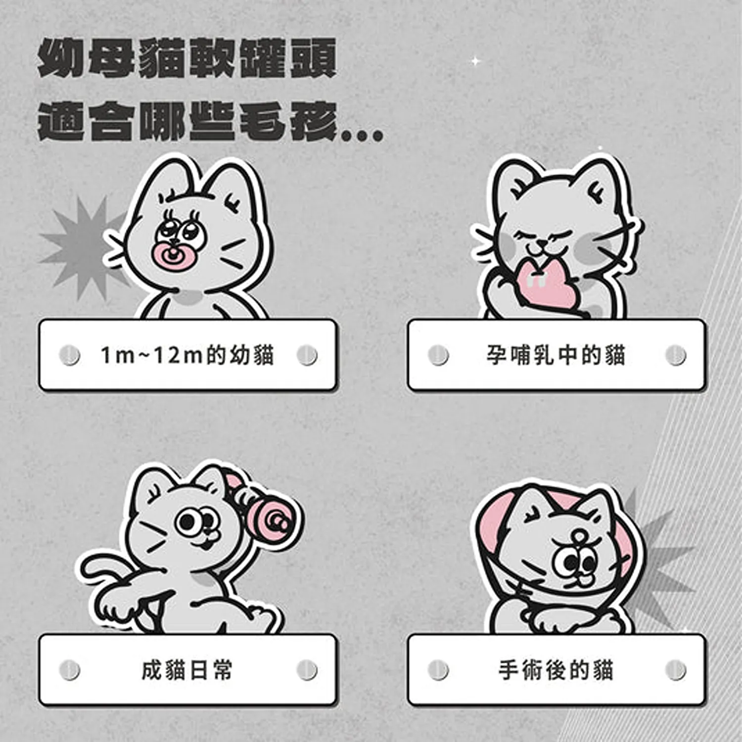 【毛孩站起來】軟罐頭 幼母貓主食餐包 100g